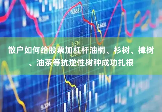散户如何给股票加杠杆油桐、杉树、樟树、油茶等抗逆性树种成功扎根