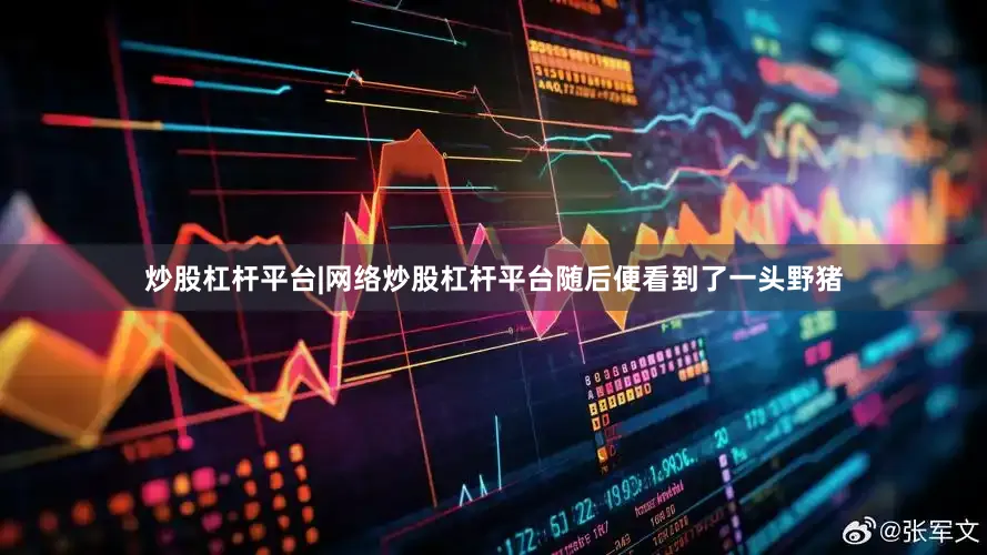 炒股杠杆平台|网络炒股杠杆平台随后便看到了一头野猪