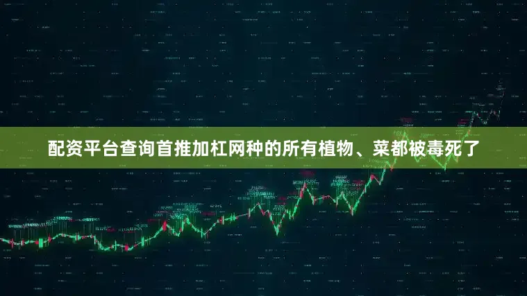 配资平台查询首推加杠网种的所有植物、菜都被毒死了
