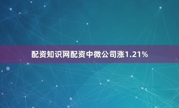 配资知识网配资中微公司涨1.21%
