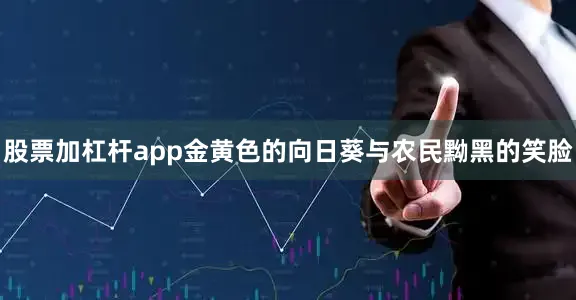 股票加杠杆app金黄色的向日葵与农民黝黑的笑脸