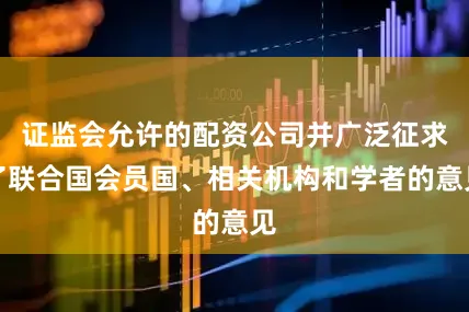 证监会允许的配资公司并广泛征求了联合国会员国、相关机构和学者的意见