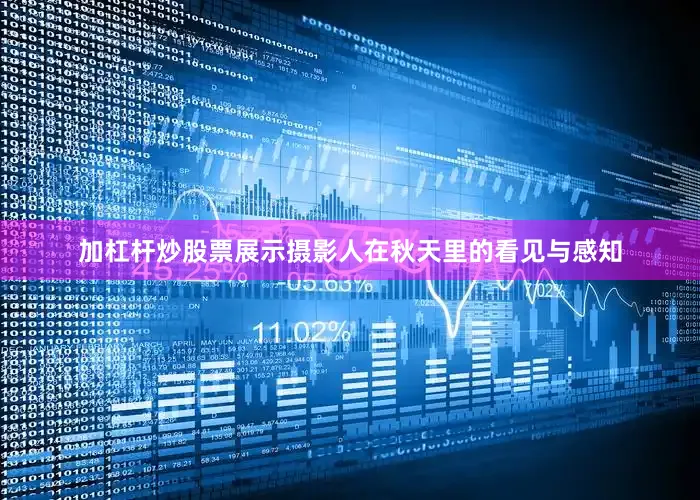 加杠杆炒股票展示摄影人在秋天里的看见与感知